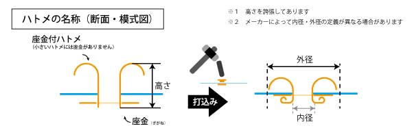 ハトメ模式図